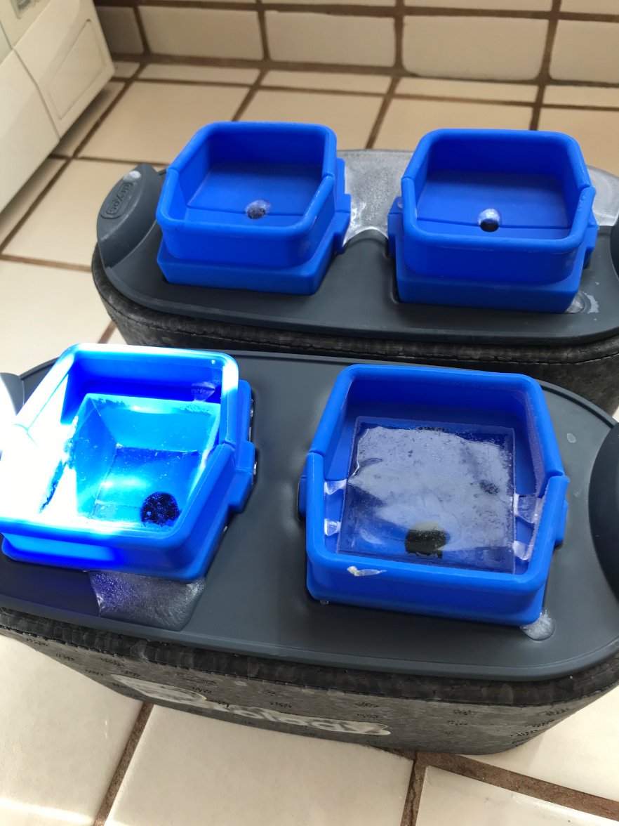 Iceology Ice Tray01 Iceology Ice Tray01