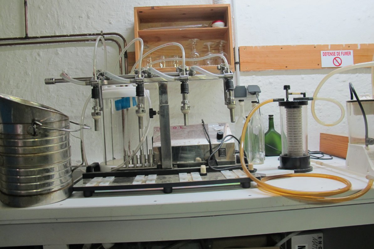 Tiny bottling line Armagnac Baron de Lustrac Tiny bottling line Armagnac Baron de Lustrac